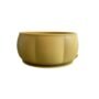 Bowl de Silicona Curvy - Mustard
