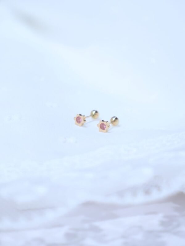 Arete Estrella c/Circon Rosa