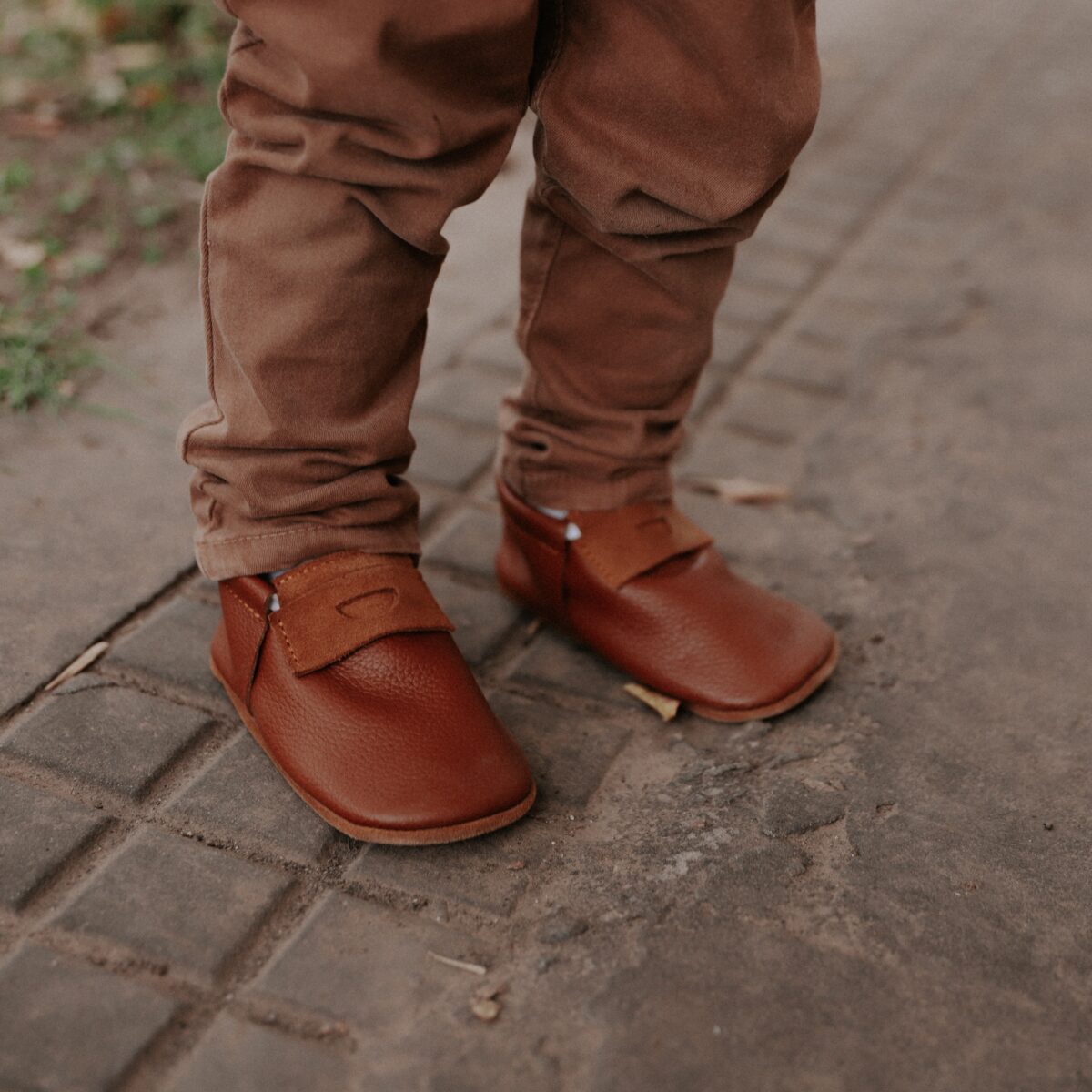 Dom - Camel - Imagen 2